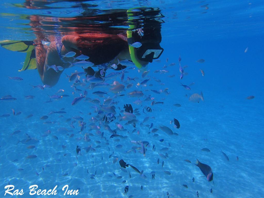 Ras Beach Inn Rasdhoo Exterior photo