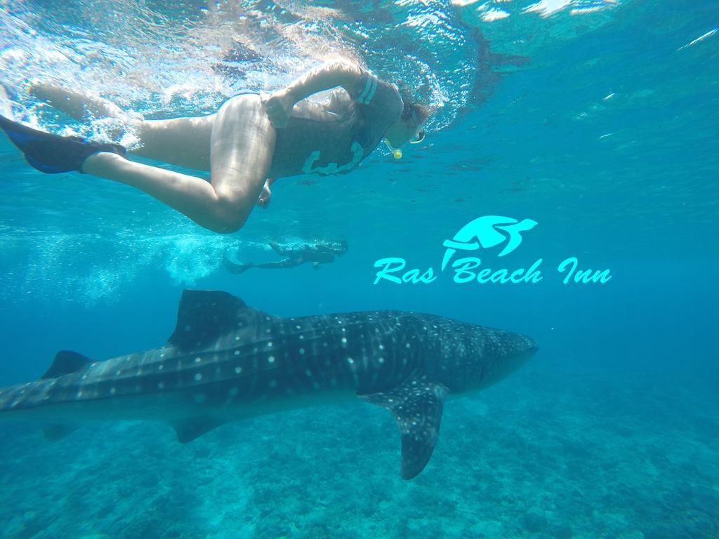 Ras Beach Inn Rasdhoo Exterior photo